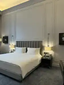 Cosmos Selection Saint-Petersburg Italyanskaya - 61