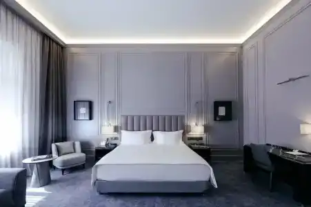 Cosmos Selection Saint-Petersburg Italyanskaya - 18