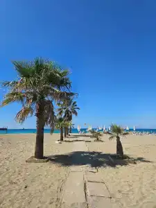 Club Big Blue Suit - All Inclusive - 32