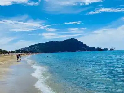 Kleopatra Royal Palm - 2