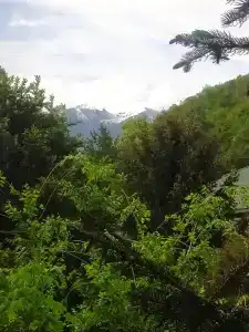 Koktem Sanatorium - 53