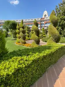 Tui Magic Life Jacaranda - 8