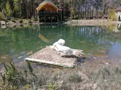 Lesnaya skazka - 15
