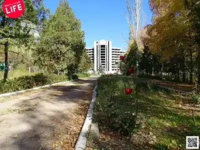 Dom otdyha Altyn-Kyol Pansionat - 2