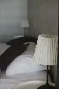 Grey House Recreation camp - 40