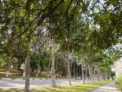 Sanatoriy Tsentrosoyuz Kislovodsk - 45