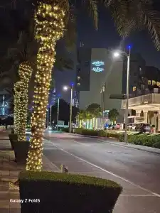 Taj Exotica Resort & Spa, The Palm, - 37