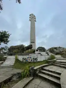 Белые журавли - 42