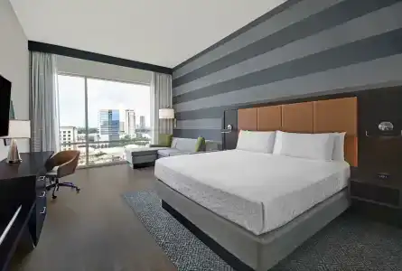 Holiday Inn Express HOUSTON - GALLERIA AREA by IHG - 20