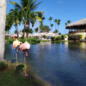 Natura Resorts - 19
