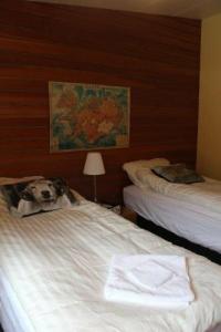 Trod North Guesthouse - 4