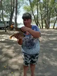 Baza otdykha Gremuchiy - 48