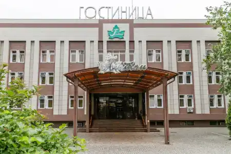 Платан - 0
