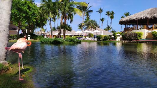 Natura Resorts - 33