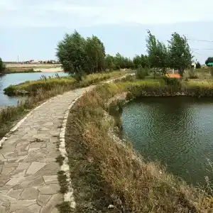 Ershi - 54