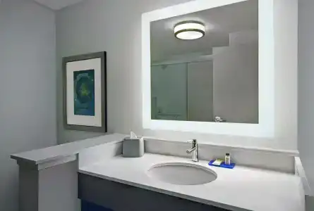 Holiday Inn Express HOUSTON - GALLERIA AREA by IHG - 3