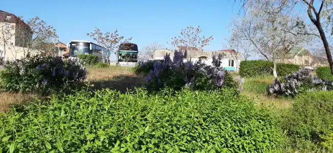 турбаза Прибой - 24