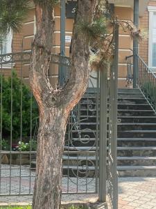 START Moskovskaya - 37