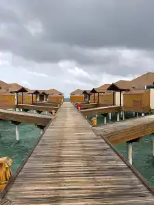 Reethi Faru, Bio Luxury Resort - 76