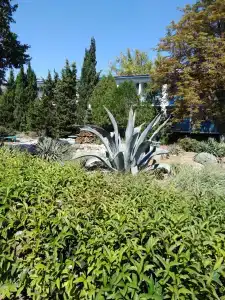 Sevastopol Tourist base - 26