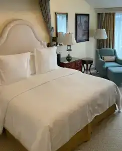 Four Seasons Lion Palace - 21