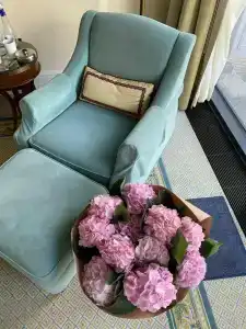 Four Seasons Lion Palace - 71