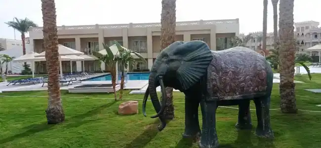 Beach Albatros Resort - 42