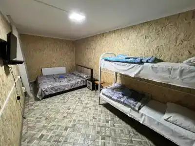 Snezhnyy Bars - 5