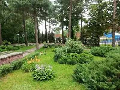 KUP detskiy reabilitatsionno-ozdorovitelnyy tsentr Zhdanovichi - 2