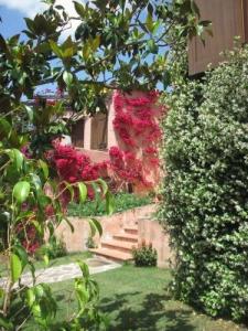 Bed and Breakfast Dessole - 11