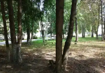 Санаторий Бобачевская Роща - 3