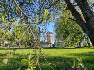 Staroladozhskaya Dacha - 43