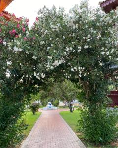 Ali BEY Club & Park - 35