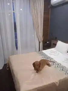 Sports Residence Apart-hotel - 29