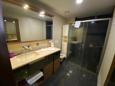 Sabi̇ha Gokcen İstanbul House - 4