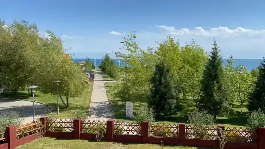 Ak-Maral - 0