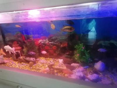 Temirinda & Spa - 46