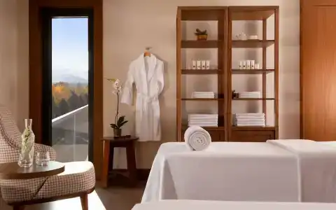 Swissôtel Wellness Resort Alatau - 55
