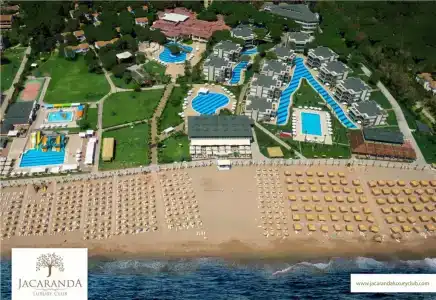 Tui Magic Life Jacaranda - 15