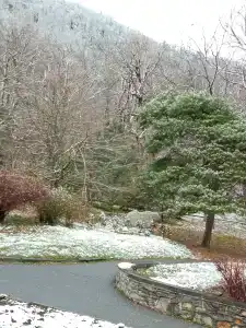 Salut Sanatorium - 38