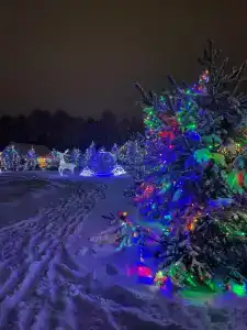 Femili Dacha - 18