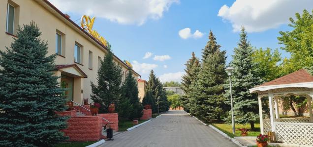 Амилия - 31