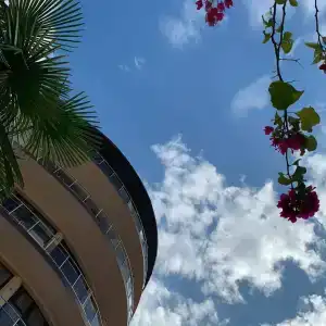 Кардинал - 29