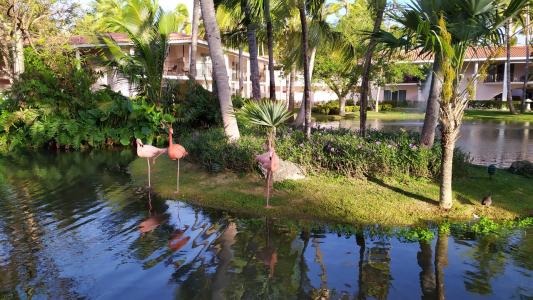 Natura Resorts - 20