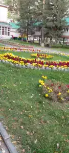 Sanatorium Sosnovyy bor - 53