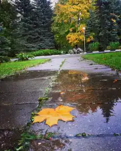 Nagornoe Holiday Home - 37