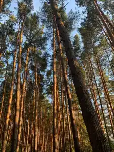 Shahtyor Tourist base - 40