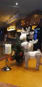 MERCURE Роза Хутор - 18