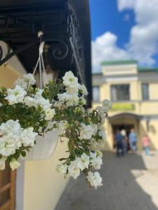 Usadba Pleshanova - 17