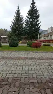 Health Resort Altayskiy Zamok - 32